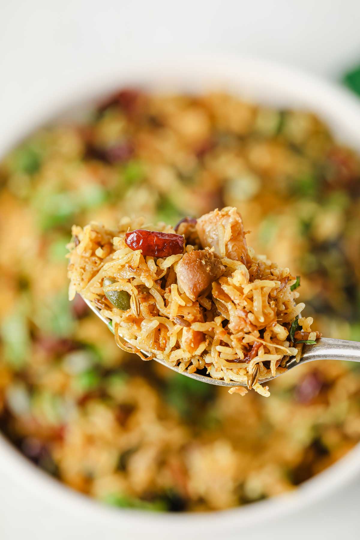 turkey biryani