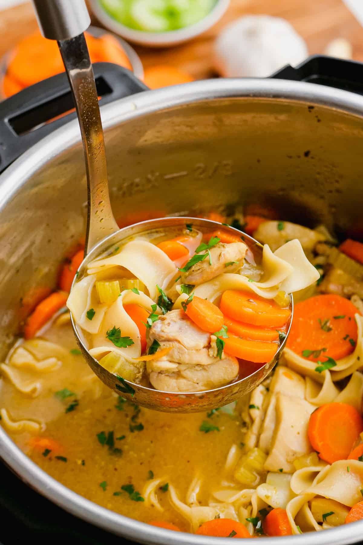 instant pot chicken noodle soup