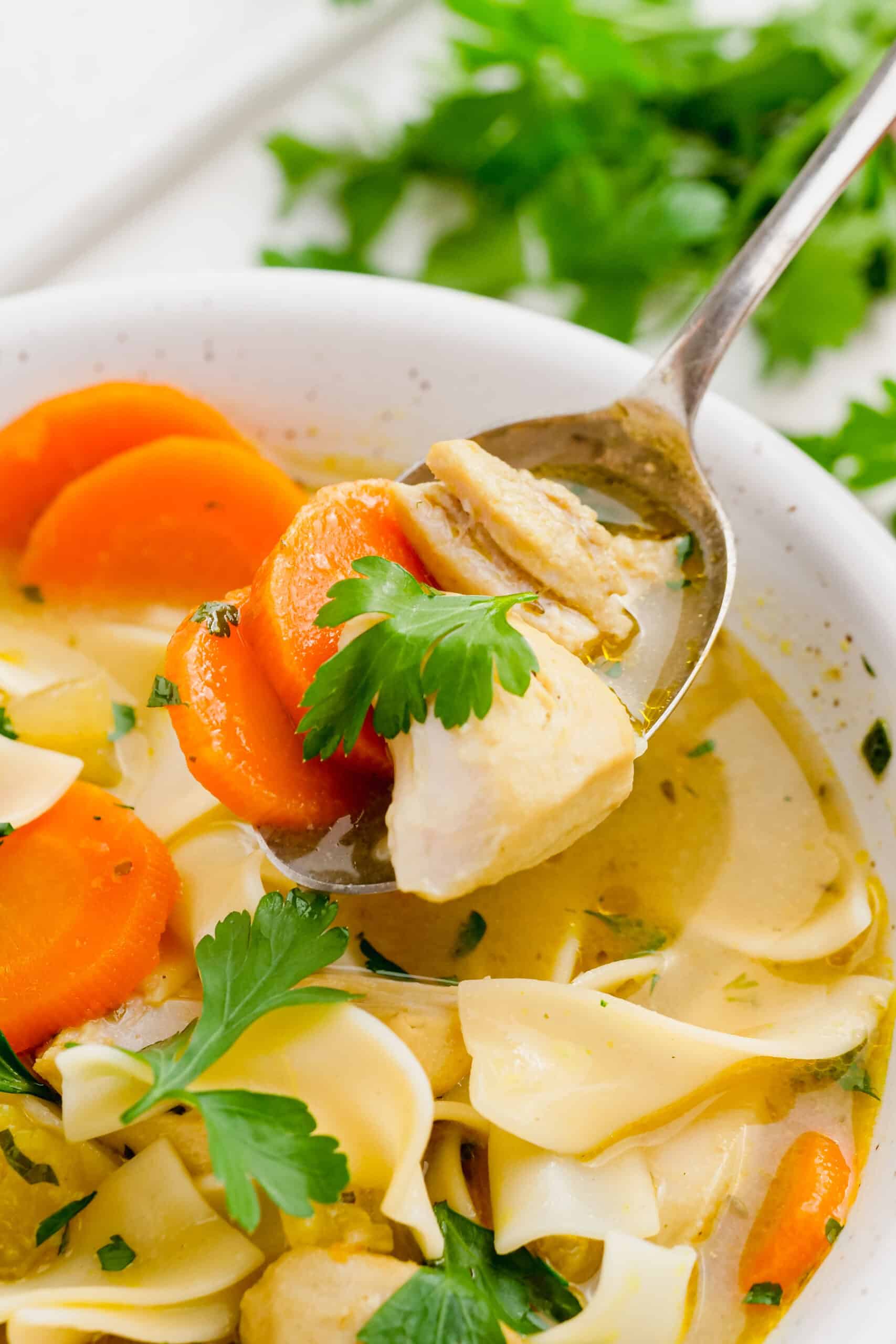 instant pot chicken noodle soup